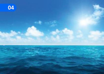 Functions of Water,ජලයේ කාර්යය,Grade 7 Science Lessons ,Grade 7 Science Paadam