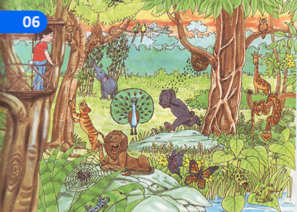 Animal Diversity,සත්ත්ව විවිධත්වය,Grade 7 Science Lessons ,Grade 7 Science Paadam