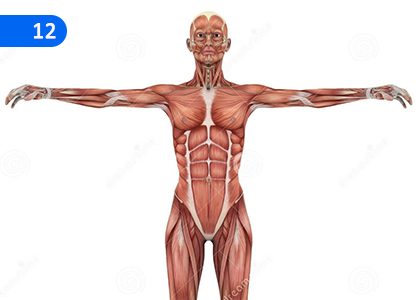 Biological Processes,ජෛව ක්‍රියාවලි,Grade 7 Science Lessons ,Grade 7 Science Paadam