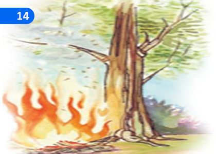 Heat and Temperature,තාපය හා උෂ්ණත්වය,Grade 7 Science Lessons ,Grade 7 Science Paadam