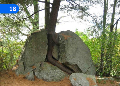 Minerals and Rocks,ඛණිජ හා පාෂණ,Grade 7 Science Lessons ,Grade 7 Science Paadam