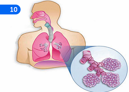 Let us Discover our Body,අපේ සිරුර හඳුනා ගනිමු,Grade 7 Health & Physical Education Lessons ,Grade 7 Health & Physical Education Paadam