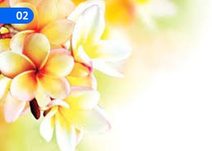 Let's Follow the Customs, dear Children,බොදු සිරිත් පිළිපැද වෙමු අපි සොඳුරු දරුවන්,Grade 8 Buddhism Lessons ,Grade 8 Buddhism Paadam