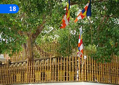 Ranveta Bound to Protect Sasunketa,සසුන්කෙත රැක්මට බැඳුණ රන්වැට,Grade 8 Buddhism Lessons ,Grade 8 Buddhism Paadam