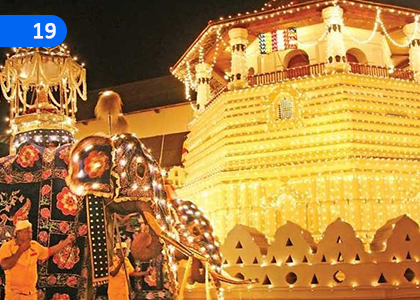 The Wonder of Siri Dalada,සිරි දළදා අසිරිය,Grade 8 Buddhism Lessons ,Grade 8 Buddhism Paadam