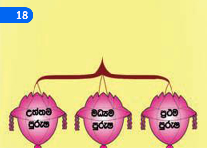 Sentence Rules II,වාක්‍ය රීති II,Grade 8 Sinhala Lessons ,Grade 8 Sinhala Paadam
