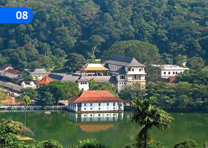 It's A Small World,,Grade 8 English Lessons ,Grade 8 English Paadam