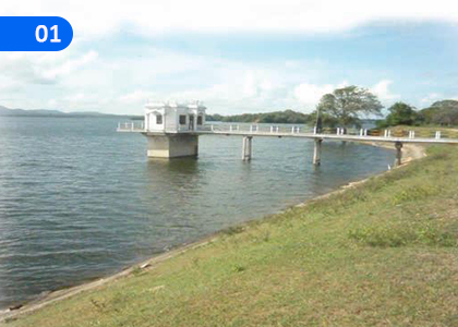 Traditional Technology and Art of Sri Lanka,ශ්‍රී ලංකාවේ සාම්ප්‍රදායික තාක්ෂණය සහ කලාව,Grade 8 History Lessons ,Grade 8 History Paadam