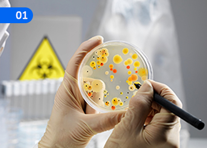 Importance of Microorganisms,ක්ෂුද්‍ර ජීවීන්ගේ වැඳගත්කම,Grade 8 Science Lessons ,Grade 8 Science Paadam