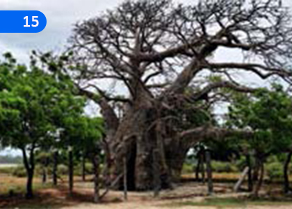 My Town,எனது ஊர்,Grade 8 Tamil (Second Language) Lessons ,Grade 8 Tamil (Second Language) Paadam