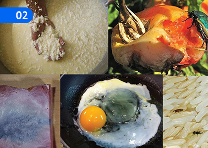 Meals,ආහාර,Grade 8 Practical & Technical Skills Lessons ,Grade 8 Practical & Technical Skills Paadam