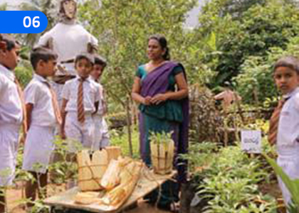 Let's Build a Healthy School Environment,සෞඛ්‍යවත් පාසල් පරිසරයක් ගොඩ නගමු,Grade 8 Health & Physical Education Lessons ,Grade 8 Health & Physical Education Paadam