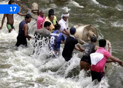 Let's Face Environmental Challenges Successfully,පාරිසරික අභියෝගවලට සාර්ථකව මුහුණ දෙමු,Grade 8 Health & Physical Education Lessons ,Grade 8 Health & Physical Education Paadam