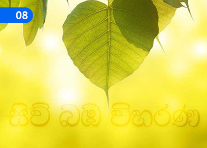 Let us enrich our lives with great Existence,උතුම් පැවැත්මෙන් දිවි මං සරු කරමු,Grade 9 Buddhism Lessons ,Grade 9 Buddhism Paadam