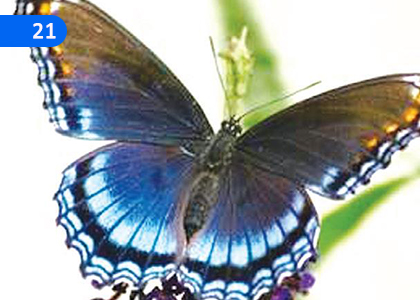 A New Life in the Christian Lord,කිතු සමිඳුන් තුළ නව ජීවනයක්,Grade 9 Christianity Lessons ,Grade 9 Christianity Paadam