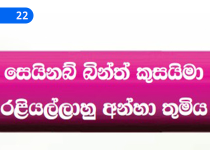 Ummahatul Mu'minin Women,උම්මහාතුල් මුඃමිනීන්වරියන්,Grade 9 Islam Lessons ,Grade 9 Islam Paadam