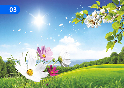 Allah is the creator,අල්ලාහ් මැවුම්කරුවාය,Grade 6 Islam Lessons ,Grade 6 Islam Paadam