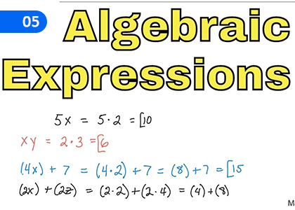 Algebraic Expressions,වීජීය ප්‍රකාශන,Grade 9 Mathematics Lessons ,Grade 9 Mathematics Paadam