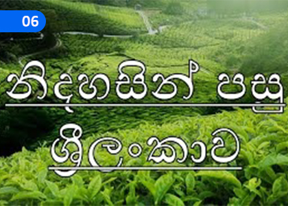 Sri Lanka after Independence,නිදහසින් පසු ශ්‍රී ලංකාව,Grade 9 History Lessons ,Grade 9 History Paadam