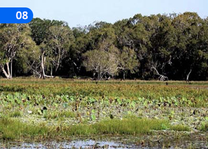 Support and Movements of Organisms,ජීවීන්ගේ සන්ධාරණය හා චලනය,Grade 9 Science Lessons ,Grade 9 Science Paadam