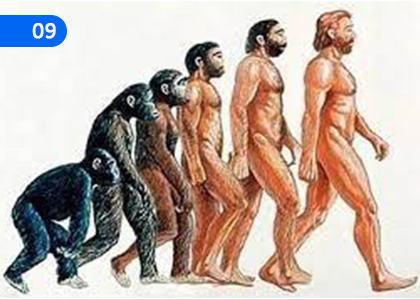 The Evolutionary Process,පරිණාමික ක්‍රියාවලිය,Grade 9 Science Lessons ,Grade 9 Science Paadam