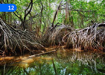 Bio-diversity,ජෛව විවිධත්වය,Grade 9 Science Lessons ,Grade 9 Science Paadam