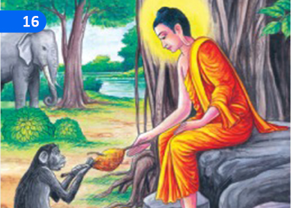 Buddhist Tradition and Environment,බුදු සිරිතයි පරිසරයයි,Grade 10 Buddhism Lessons ,Grade 10 Buddhism Paadam