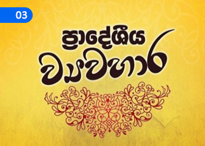 Regional Idioms,ප්‍රාදේශික ව්‍යවහාර,Grade 10 Sinhala Lessons ,Grade 10 Sinhala Paadam