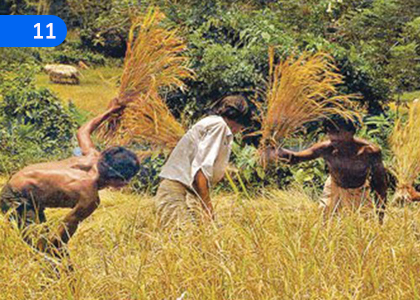 Customs Associated with ancient ways of Life,පැරණි ජීවනෝපාය ක්‍රම හා බැදුණු සිරිත් විරිත්,Grade 10 Sinhala Lessons ,Grade 10 Sinhala Paadam